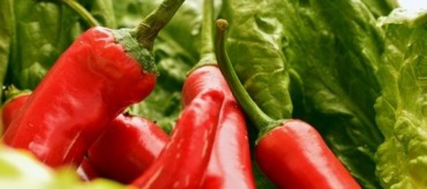 Capsaicin aus Chilis Capsaicin aus Chilis