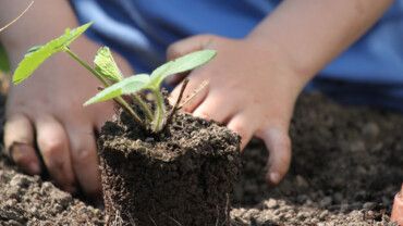 Gesund dank Gartenarbeit