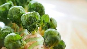 Rosenkohl – das gesunde Wintergemüse Rosenkohl – das gesunde Wintergemüse