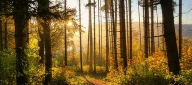 Waldbaden Waldbaden