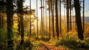 Waldbaden Waldbaden