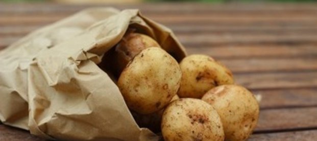 Kartoffelprotein Kartoffelprotein