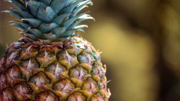 Ananas: die gelbe Powerfrucht 