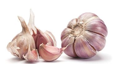 Knoblauch &ndash; die Wunderknolle