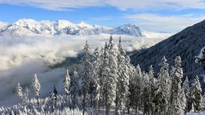 Gesunde Bergluft Gesunde Bergluft