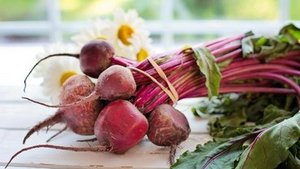 Rande – rot, rund und gesund Rande – rot, rund und gesund