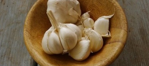 Hausmittel gegen Knoblauchgeruch Hausmittel gegen Knoblauchgeruch