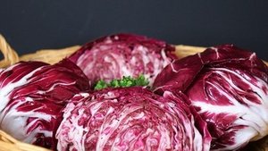 Rotkraut – gesundes Wintergemüse Rotkraut – gesundes Wintergemüse