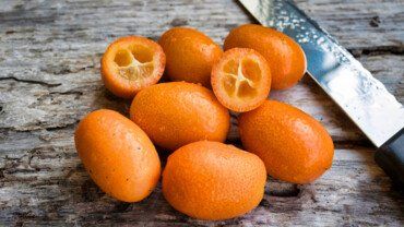 Kumquat: Klein und fein