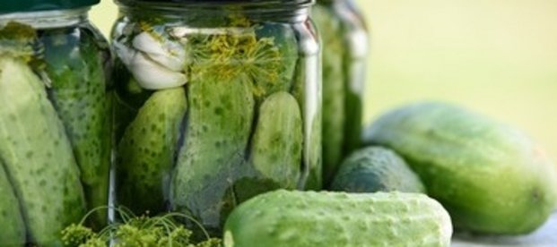 Fermentierte Lebensmittel Fermentierte Lebensmittel