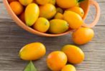 Kumquat: Klein aber fein
