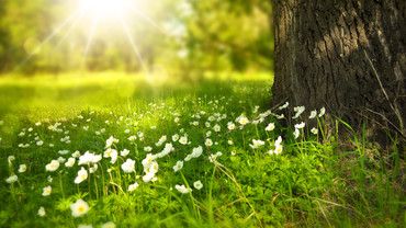 Fr&uuml;hling &ndash; und der K&ouml;rper stellt um