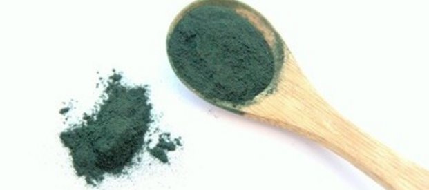 Spirulina Spirulina