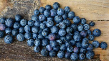 Blaubeeren &ndash; blau, rund und gesund