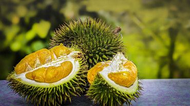 Durian &ndash; gesunde Stinkfrucht