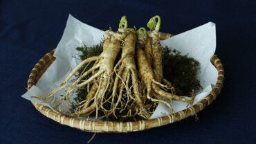 Gesunder Ginseng