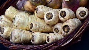 Pastinaken – das vergessene Knollengemüse Pastinaken – das vergessene Knollengemüse