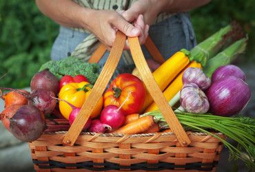 Tomaten &ndash; rot, rund und gesund