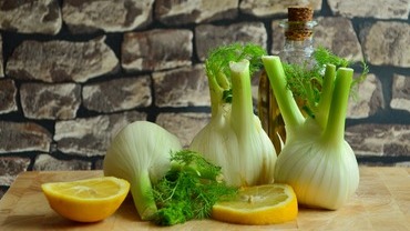 Fenchel &ndash; tolle Knolle