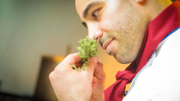 Anosmie – der Geruchsverlust Anosmie – der Geruchsverlust