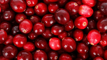 Cranberry – rot, rund und gesund Cranberry – rot, rund und gesund