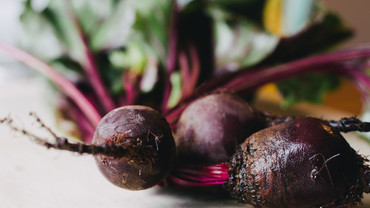 Rote Bete – rot, rund und gesund Rote Bete – rot, rund und gesund