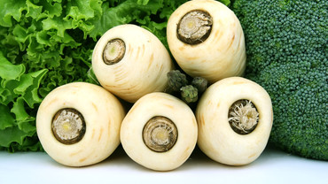 Pastinake – das gesundes Wurzelgemüse Pastinake – das gesundes Wurzelgemüse